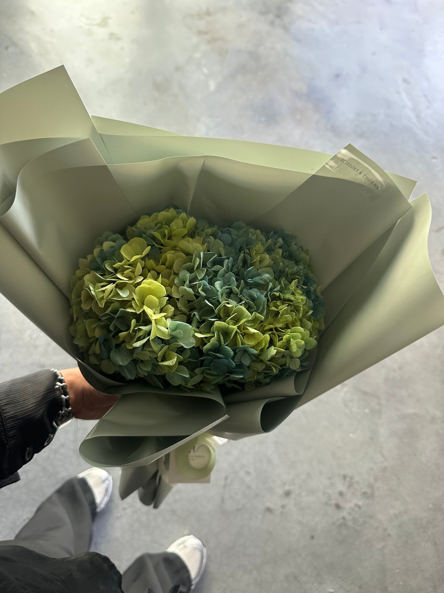 Preserved Hydrangea Flowers