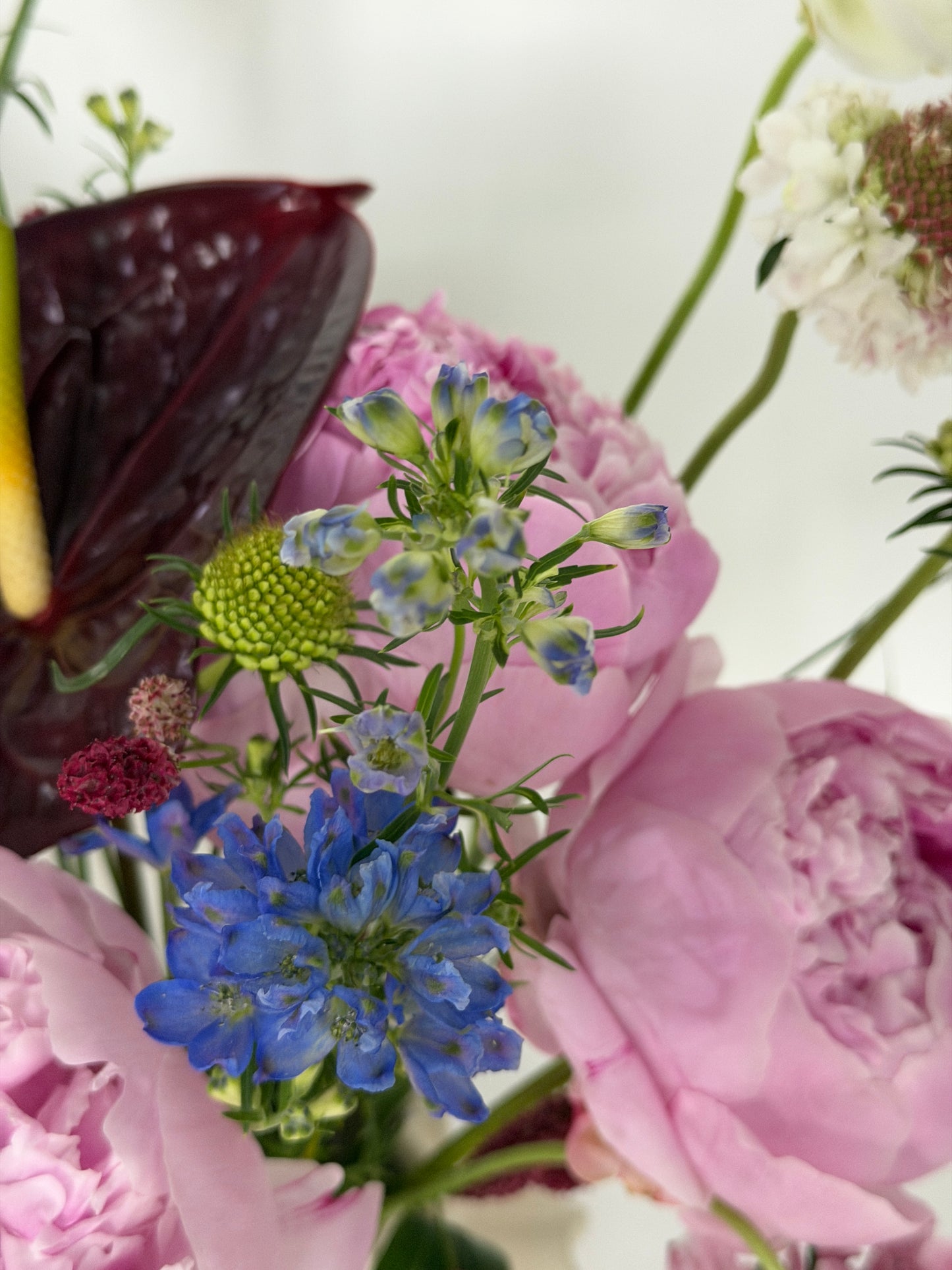 Omakase Peony Vase