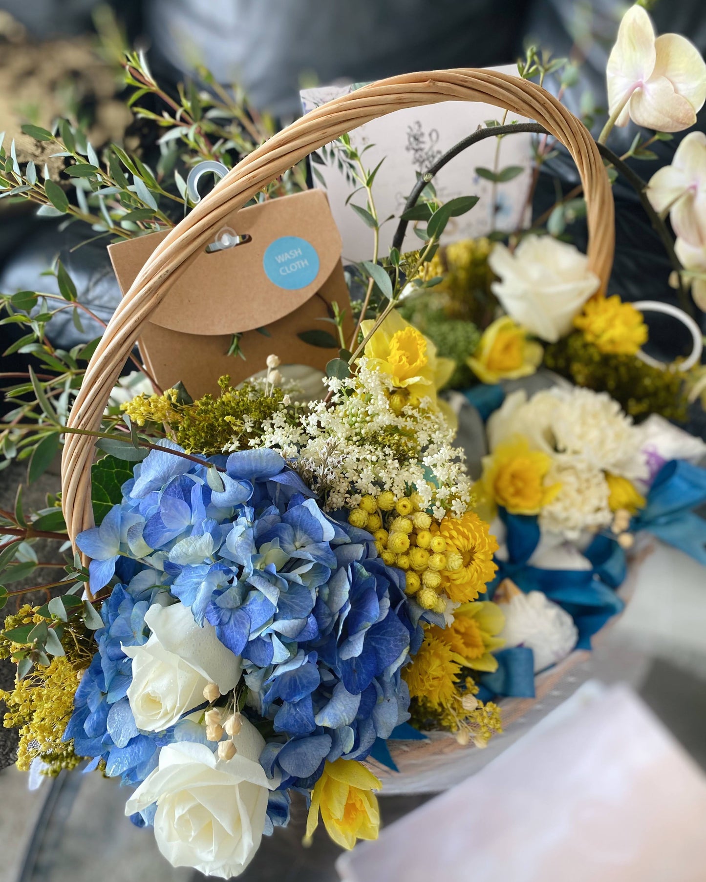 Little Sunshine Bloom