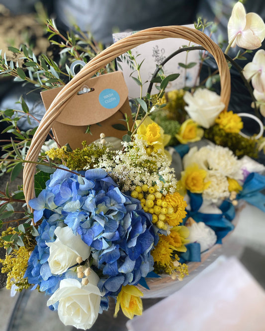 Little Sunshine Bloom