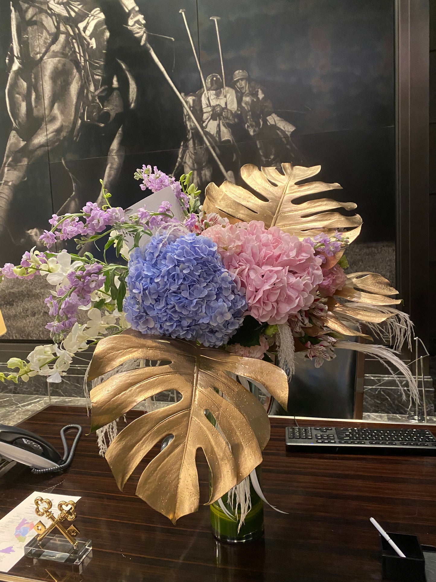 Hydrangea Tropique