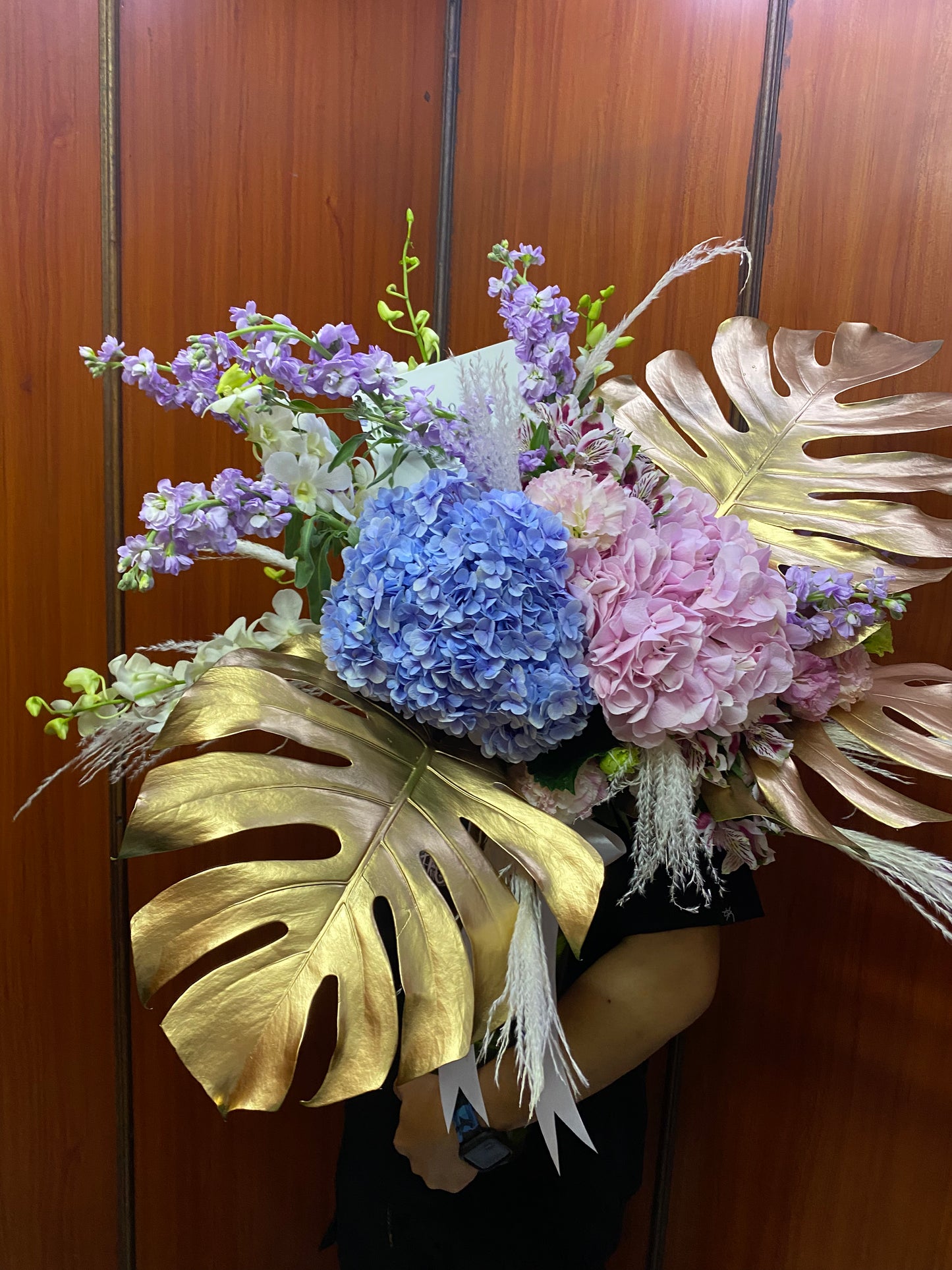 Hydrangea Tropique