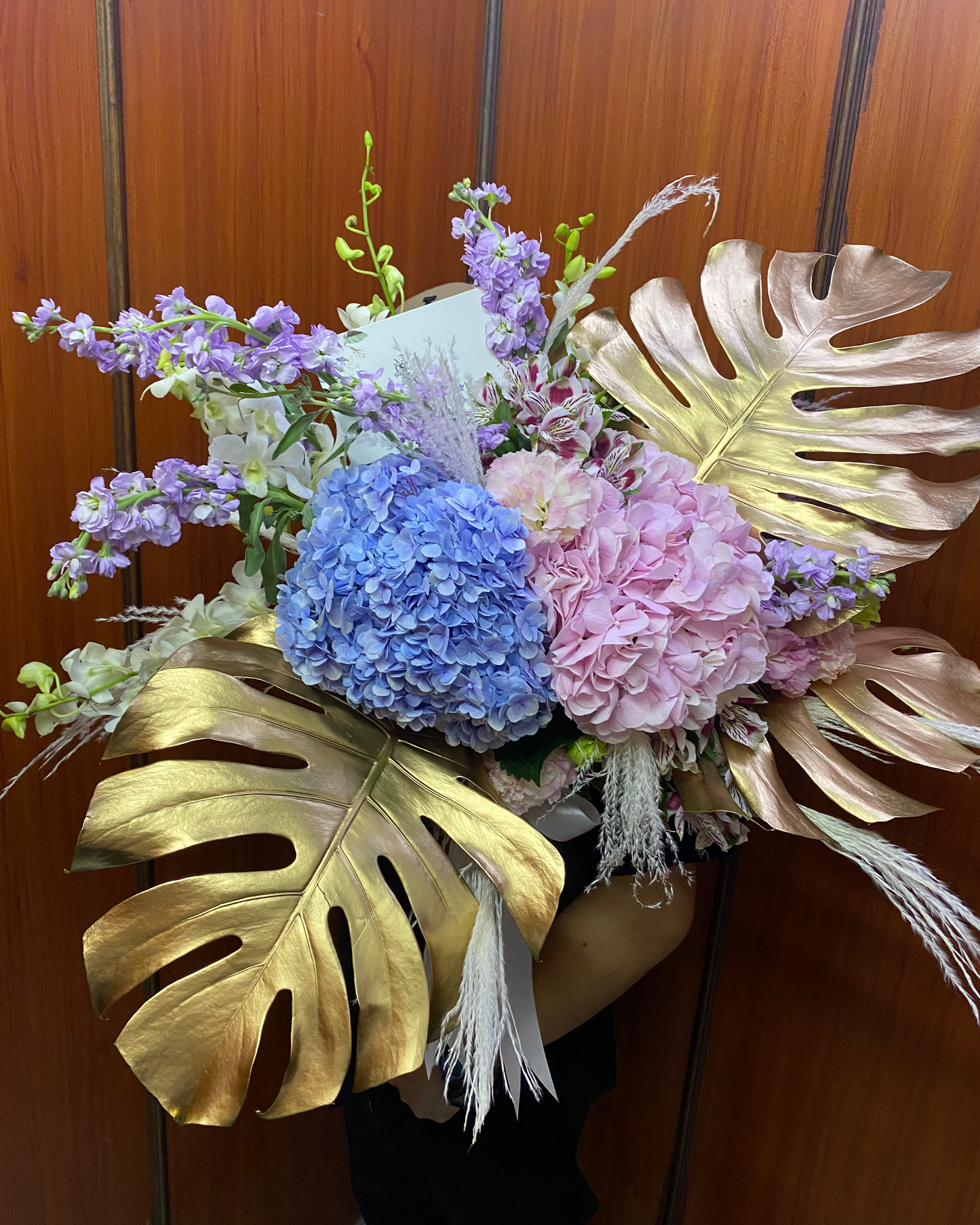 Hydrangea Tropique