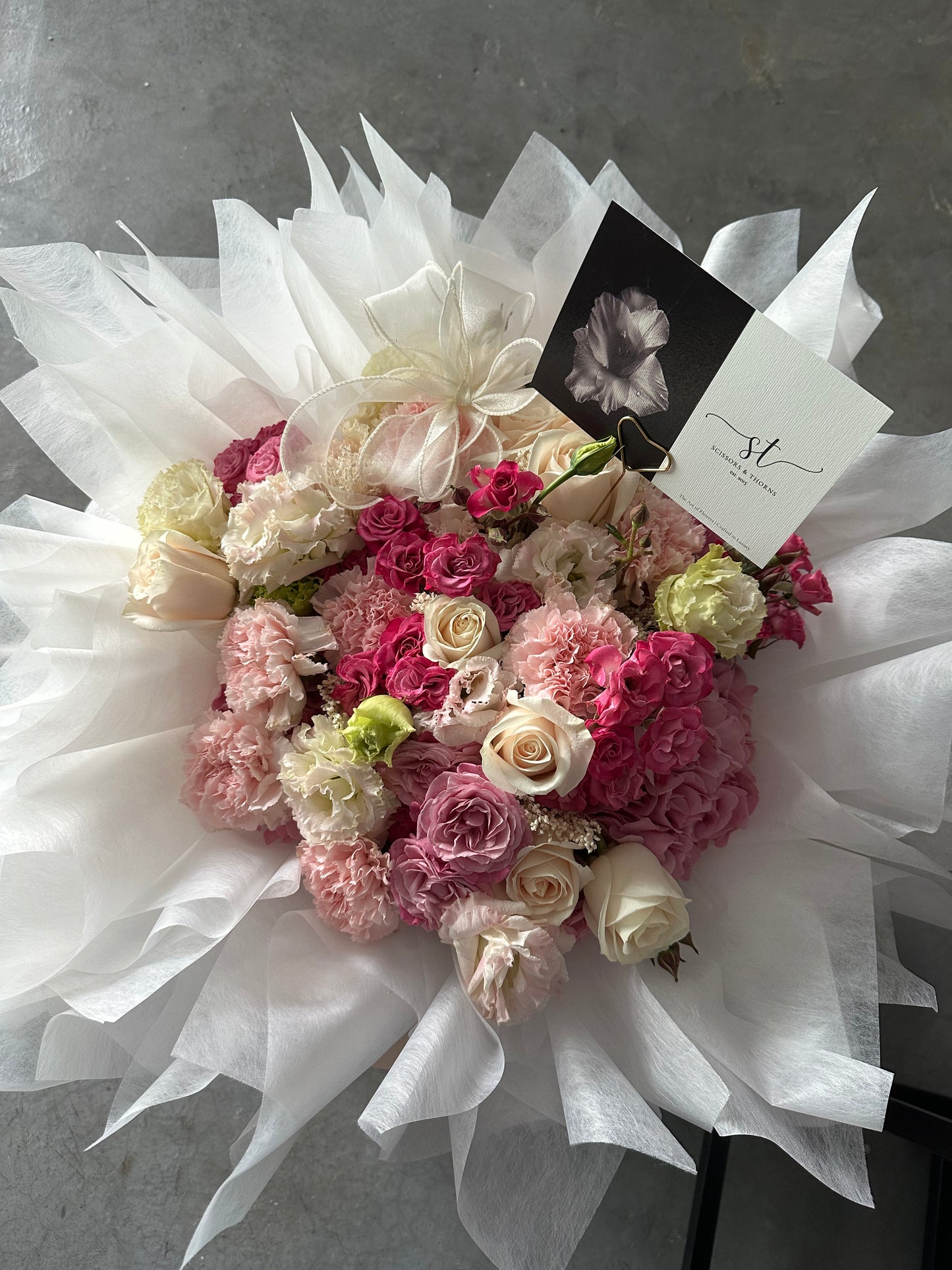 Blush Romance